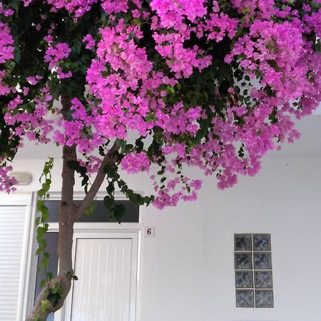 Maria Studios And Apartments شاراكي المظهر الخارجي الصورة