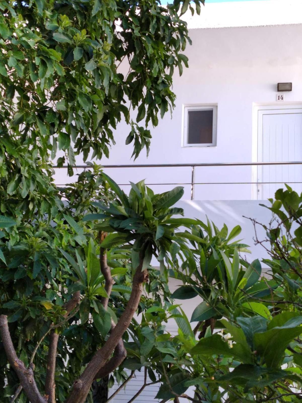 Maria Studios And Apartments شاراكي المظهر الخارجي الصورة
