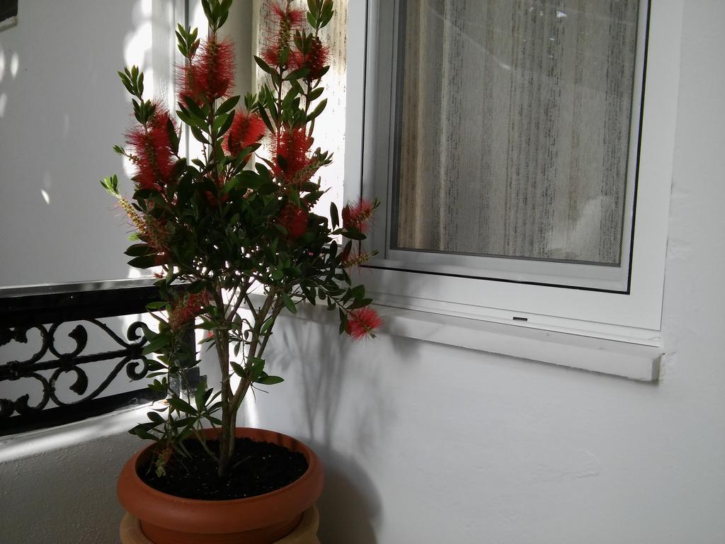 Maria Studios And Apartments شاراكي المظهر الخارجي الصورة