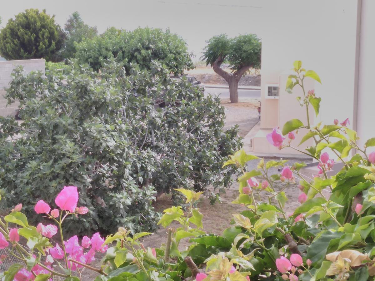 Maria Studios And Apartments شاراكي المظهر الخارجي الصورة